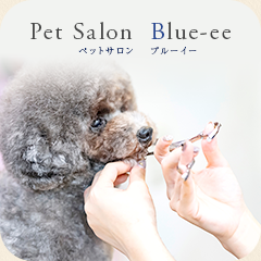 ペットサロン　ブ...