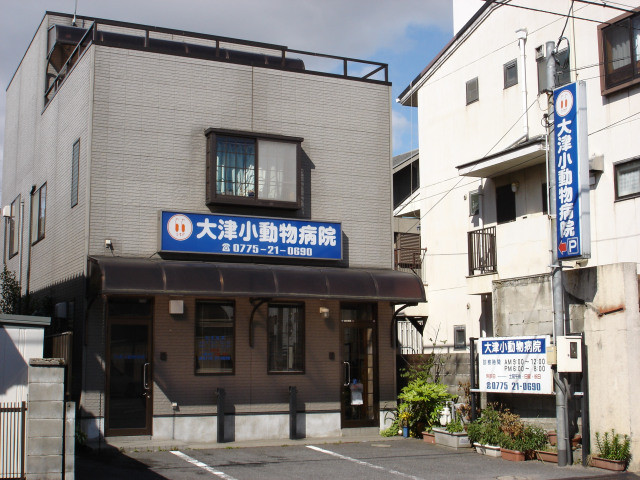 大津小動物病院