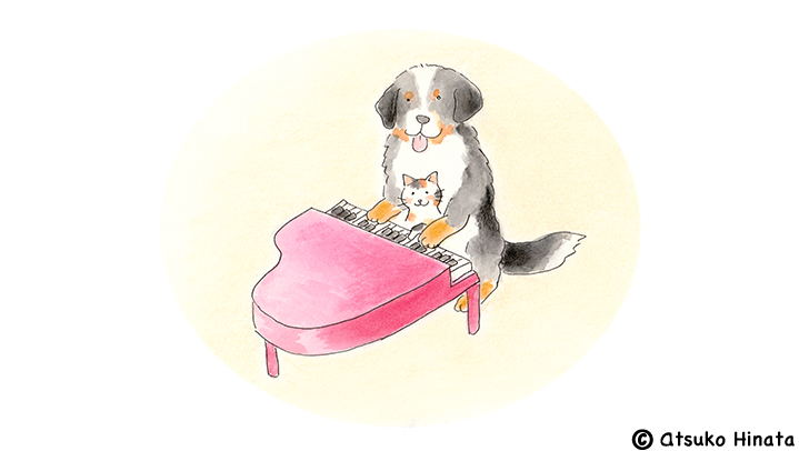 はっとり動物病院