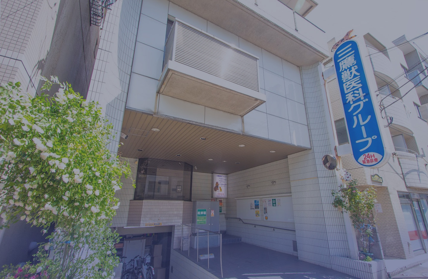 三鷹獣医科グループ