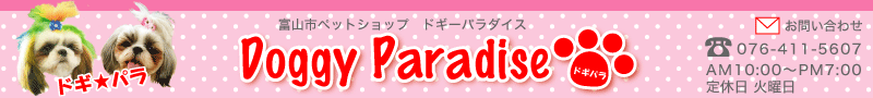 ドギーパラダイス