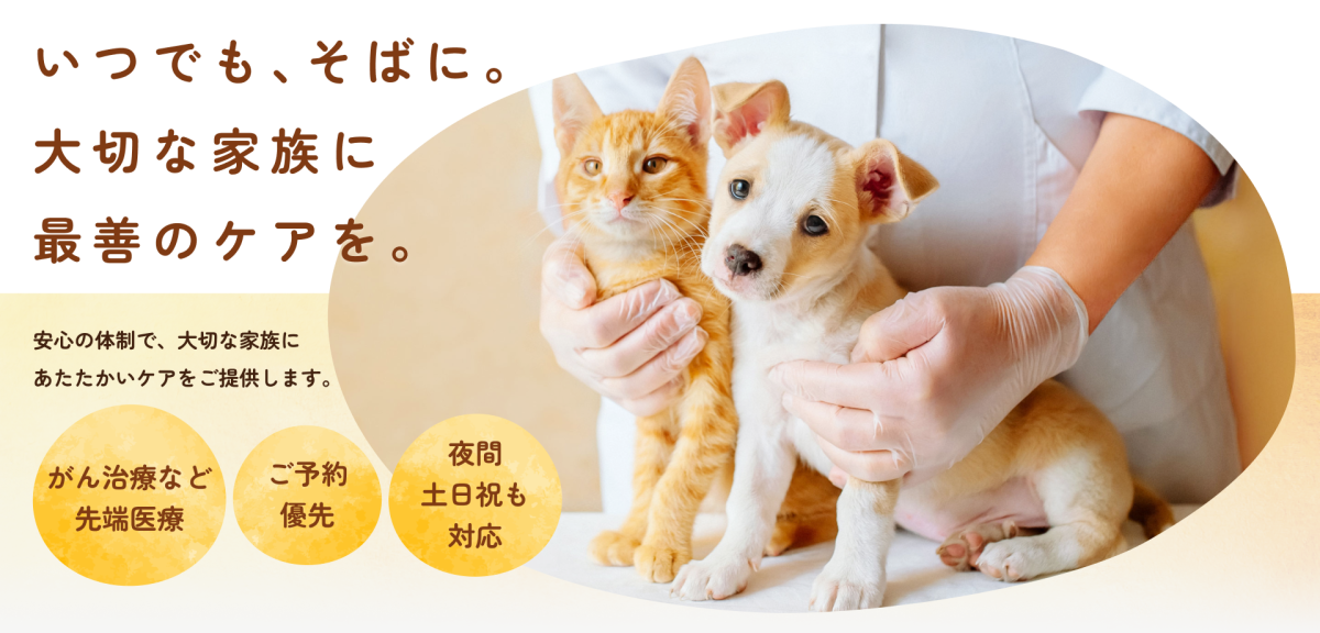 東久留米ハル犬猫病院