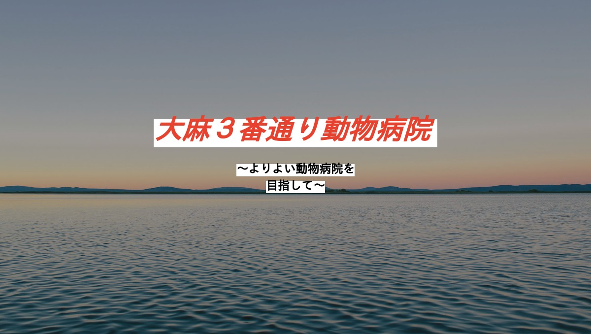 大麻3番通り動物病院
