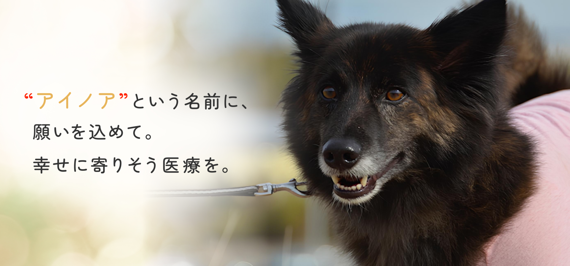 アイノア動物病院