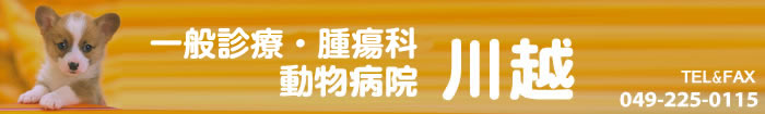 動物病院川越