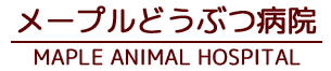 メープルどうぶつ病院