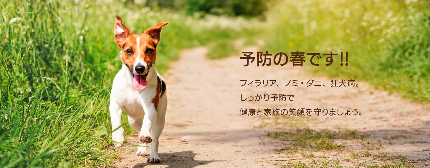 烏城ペットクリニック