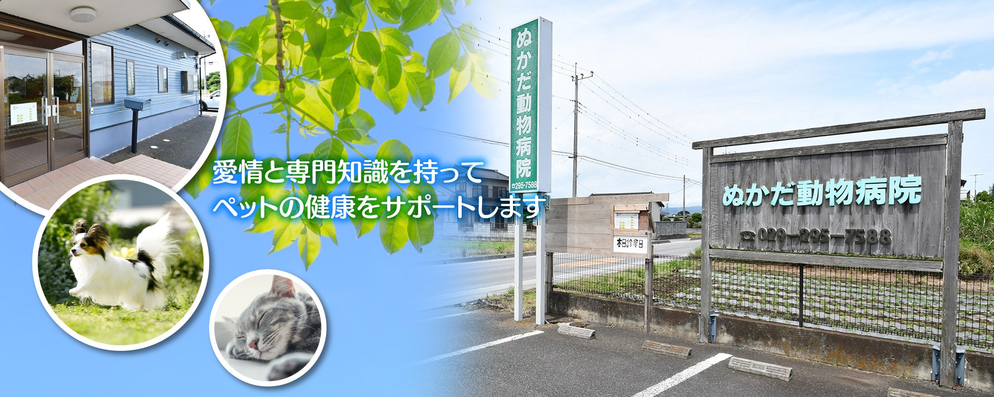 ぬかだ動物病院