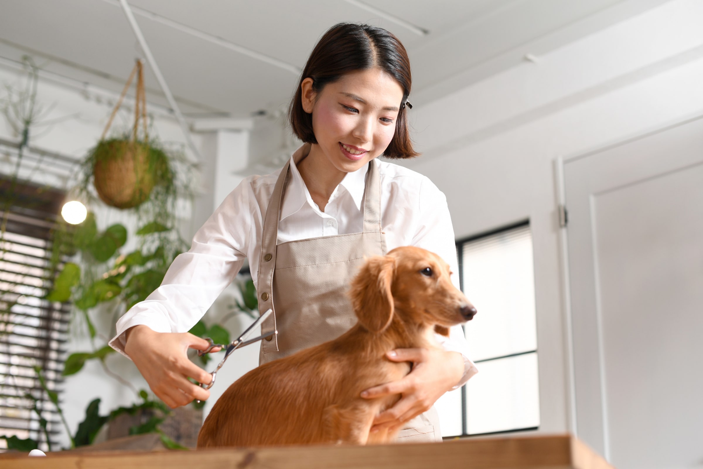 フレンドハウス