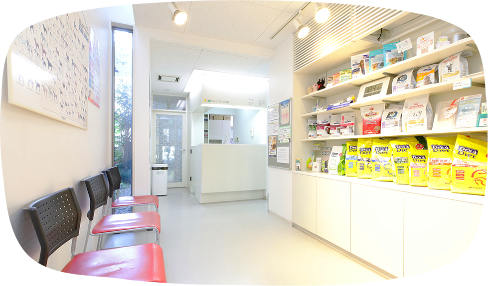 タムどうぶつ病院