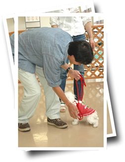 ノアズアーク 草津店