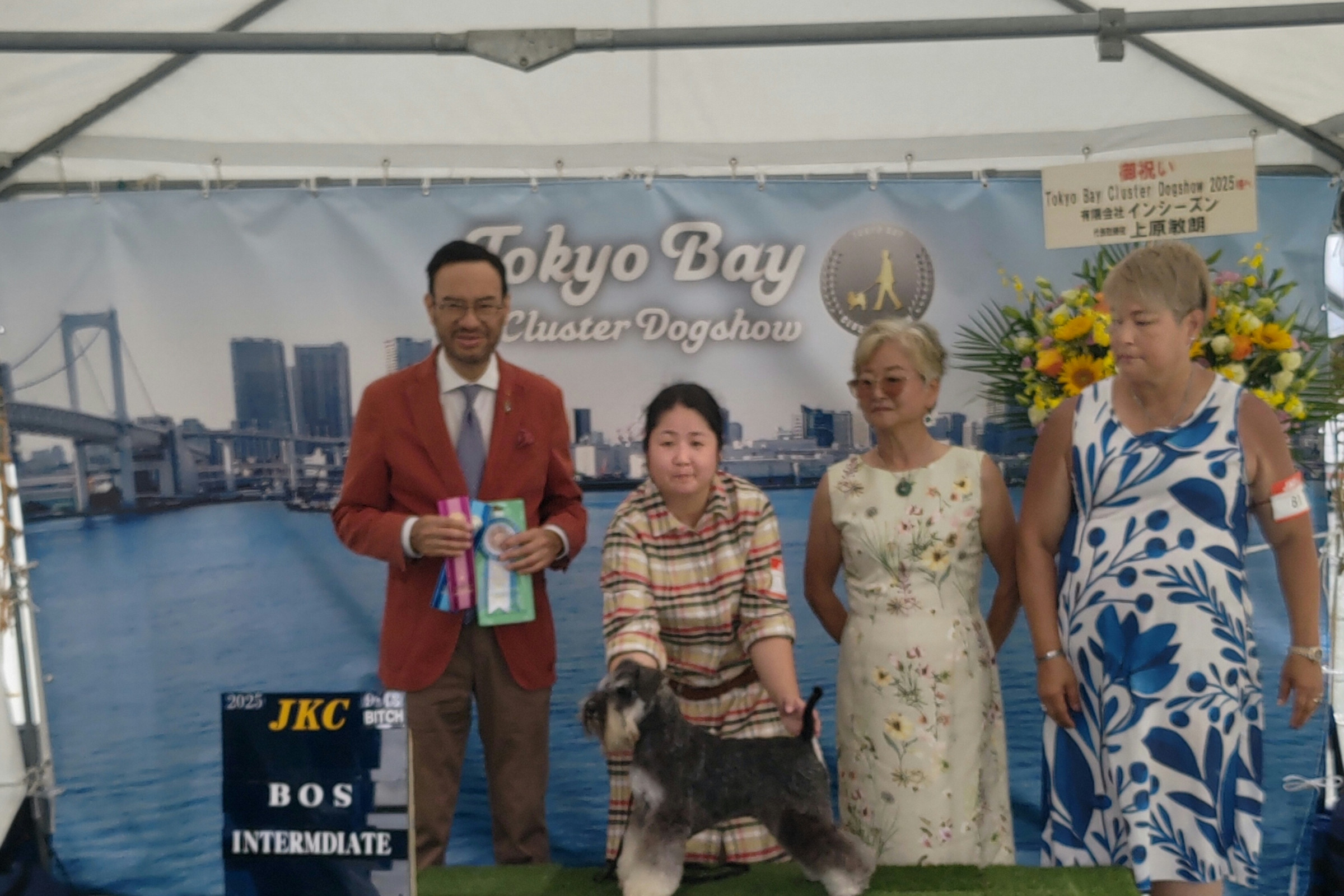 犬の美容室　レインボー