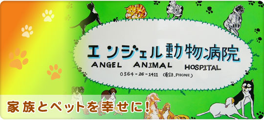 エンジェル動物病院 岡崎病院