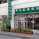 野田動物病院 荏田分院