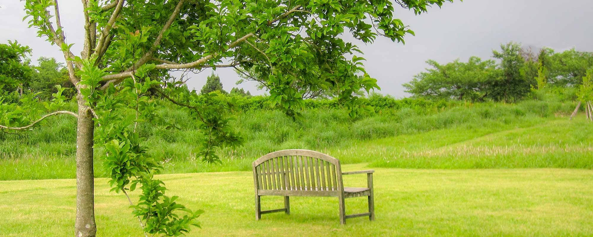 山二ツ動物病院