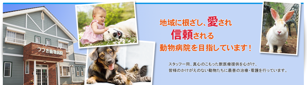 つづき動物病院