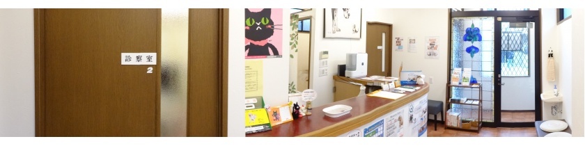 なつのき動物病院