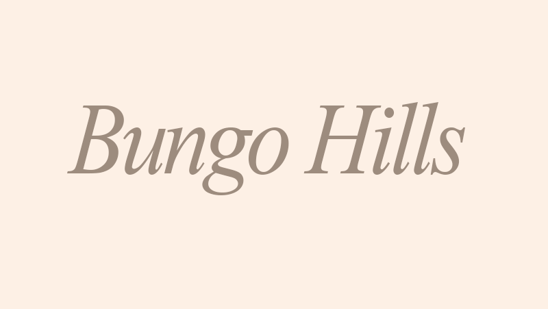 トイプードル専門...