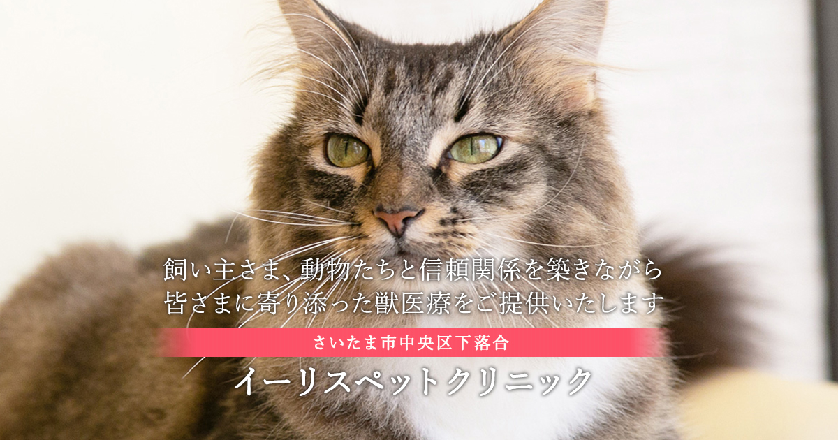 イーリスペットクリニック