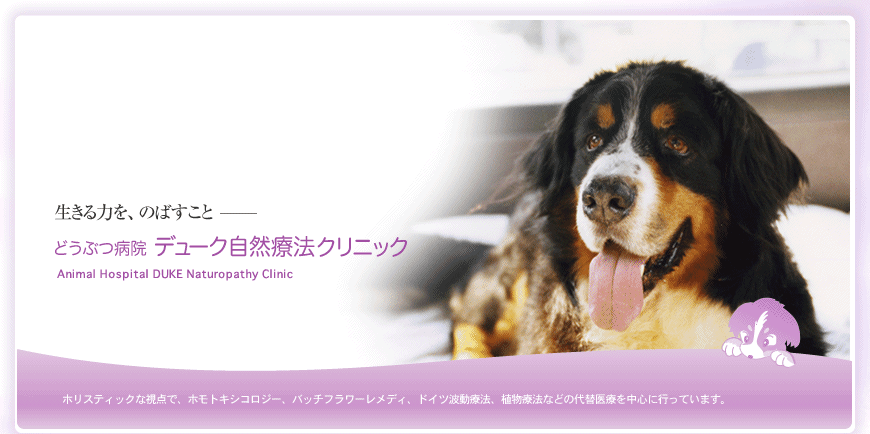 デューク自然療法クリニック