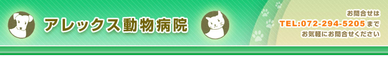 アレックス動物病院