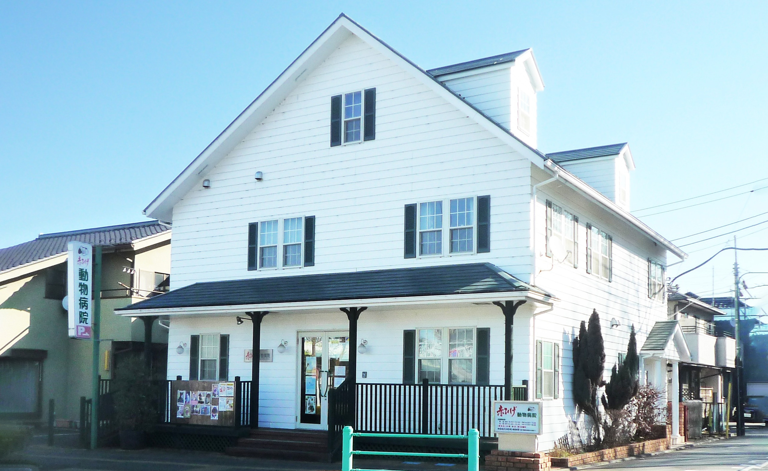 赤ひげ動物病院