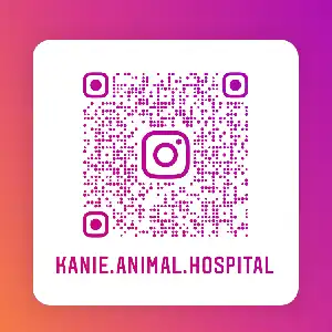 カニエ動物クリニック