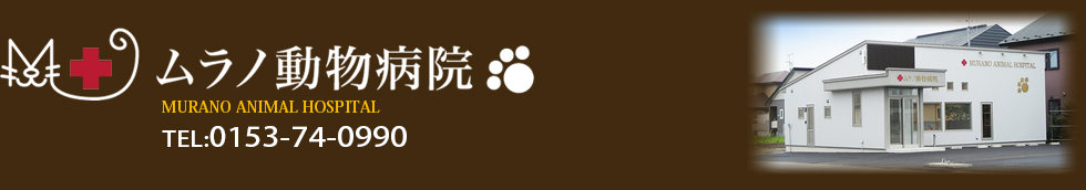 ムラノ動物病院