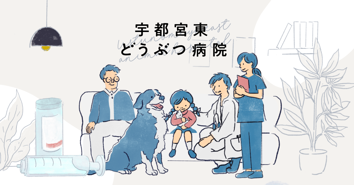 宇都宮東どうぶつ病院