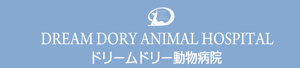 ドリームドリー動物病院