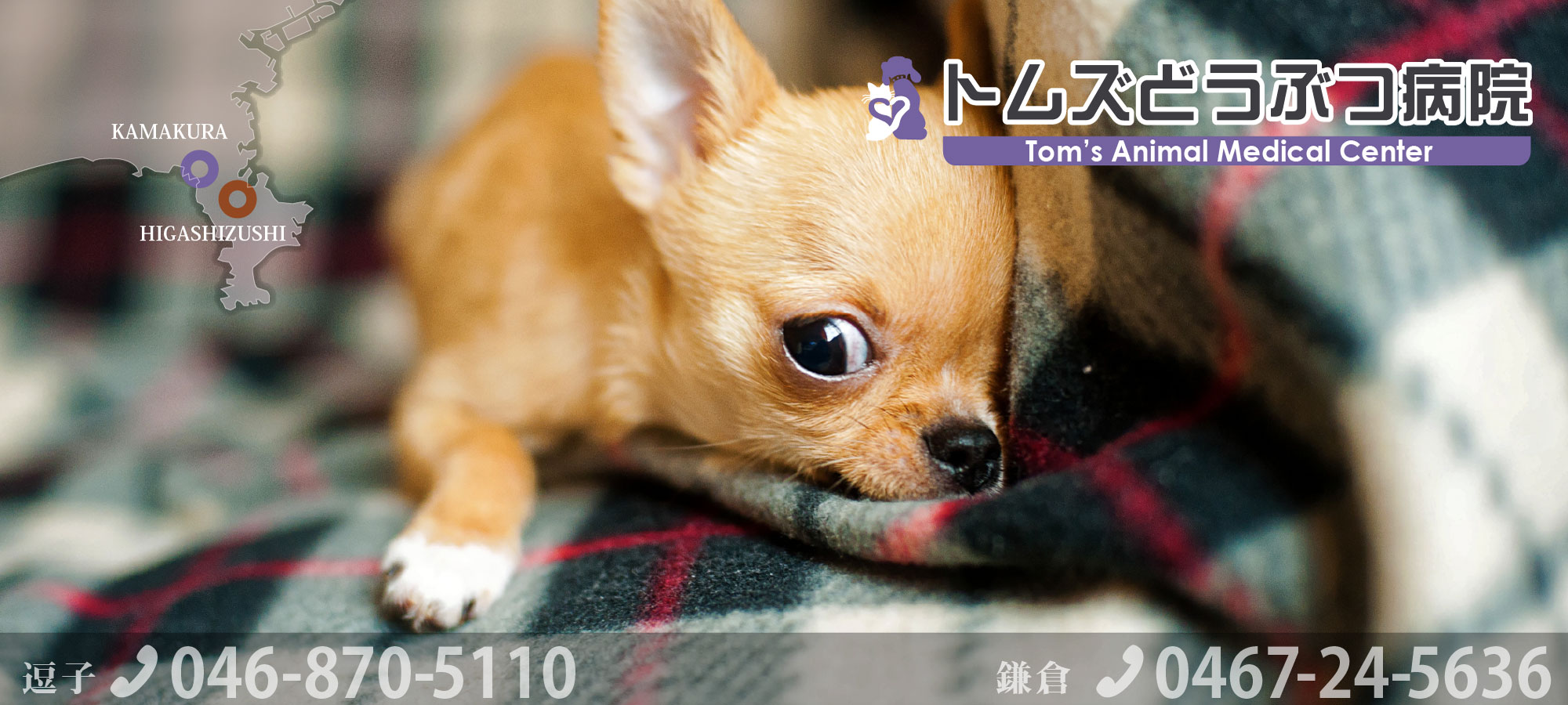 トムズどうぶつ病院逗子