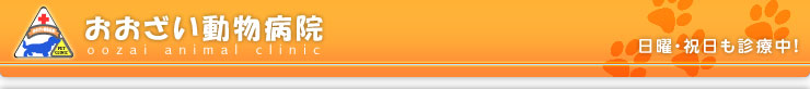 おおざい動物病院