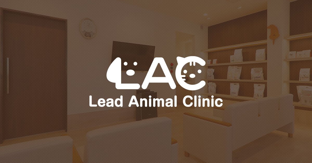 リード動物病院