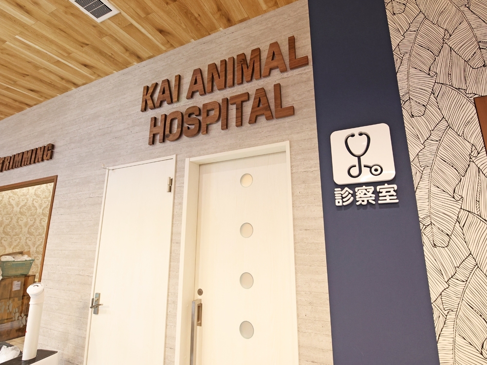 海動物病院　豊田往診所
