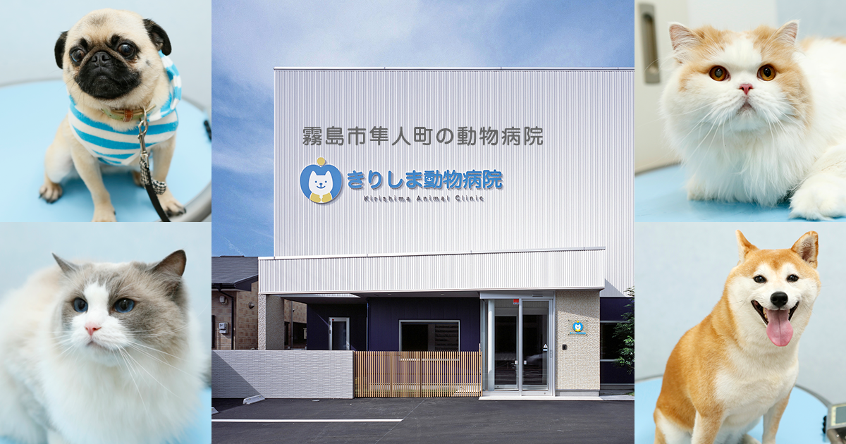きりしま動物病院