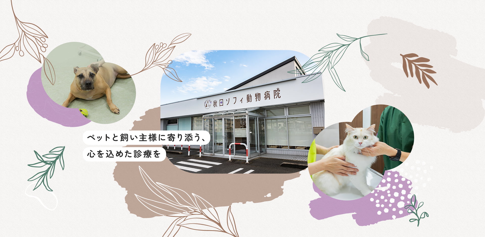 秋田ソフィ動物病院