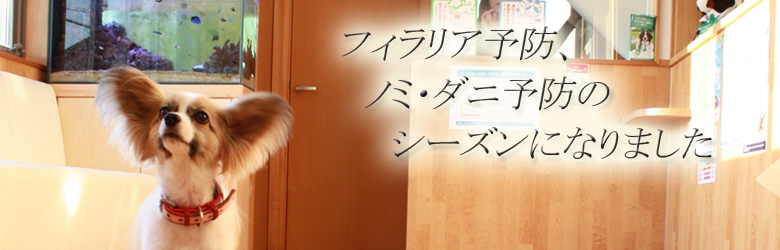 動物病院健心堂