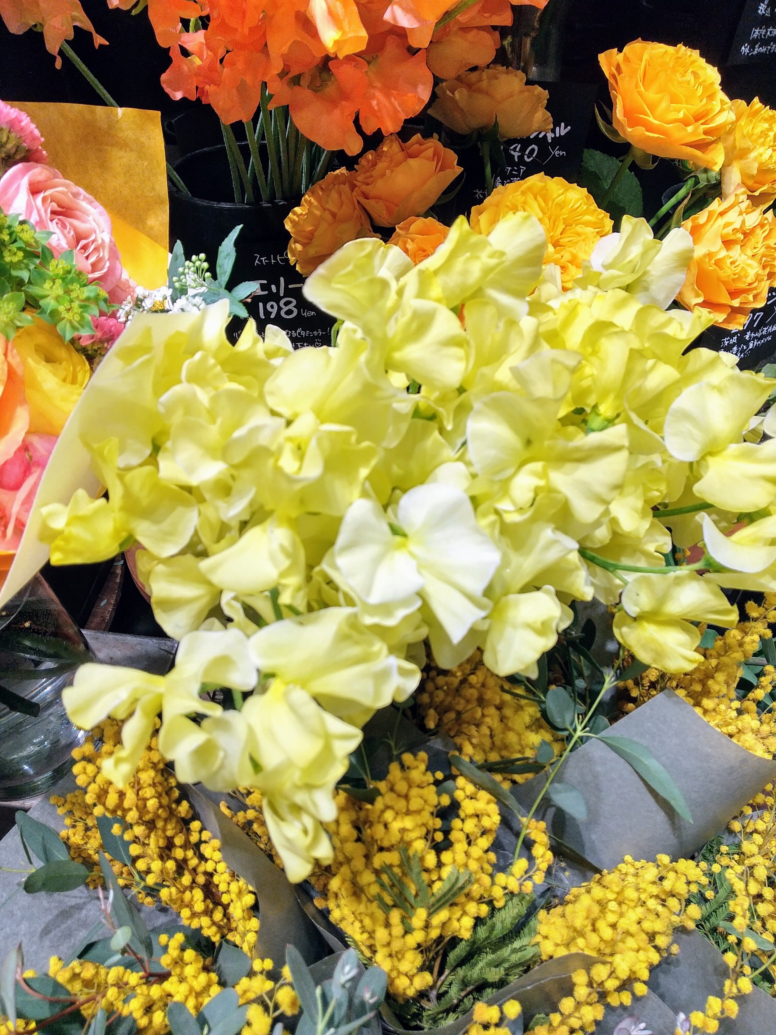 ひかわ動物病院