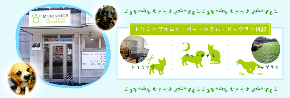 モリシゲペットクリニック