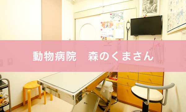 動物病院 森のくまさん