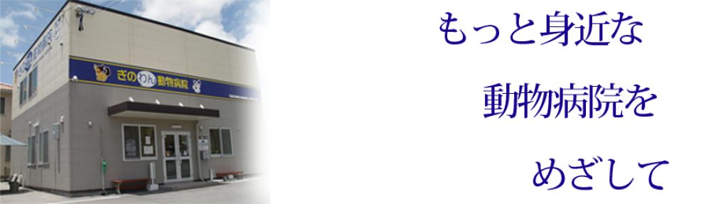 ぎのわん動物病院