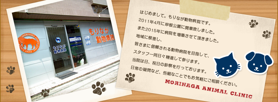 もりなが動物病院