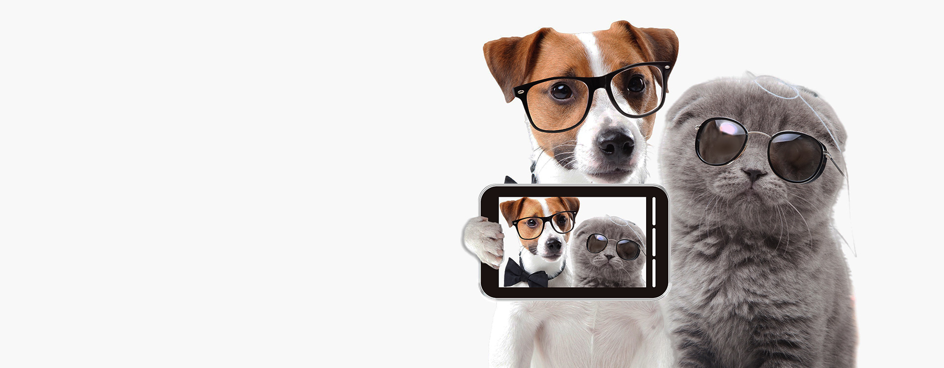 てくてく動物病院