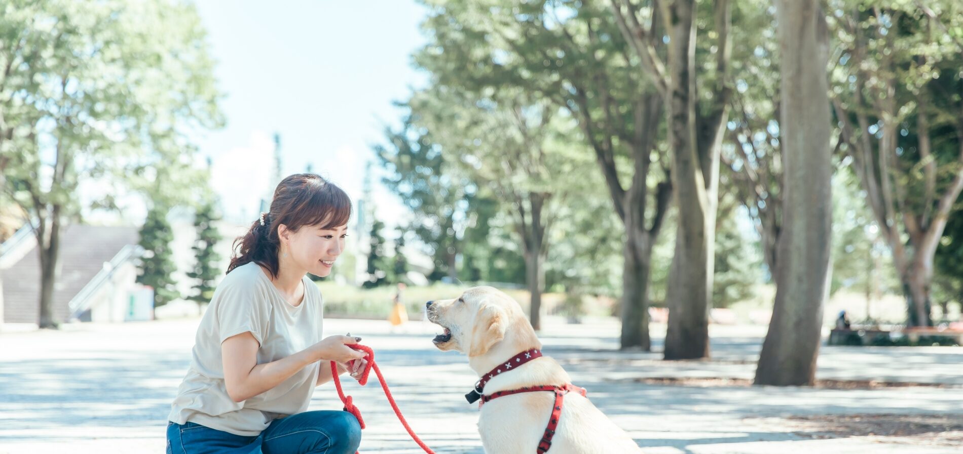 ペットサロン プリティーメイト