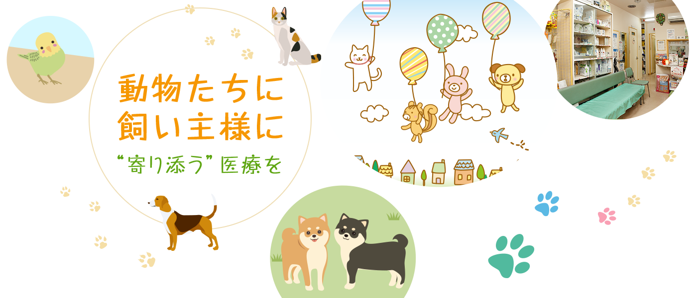 のぞえ動物病院