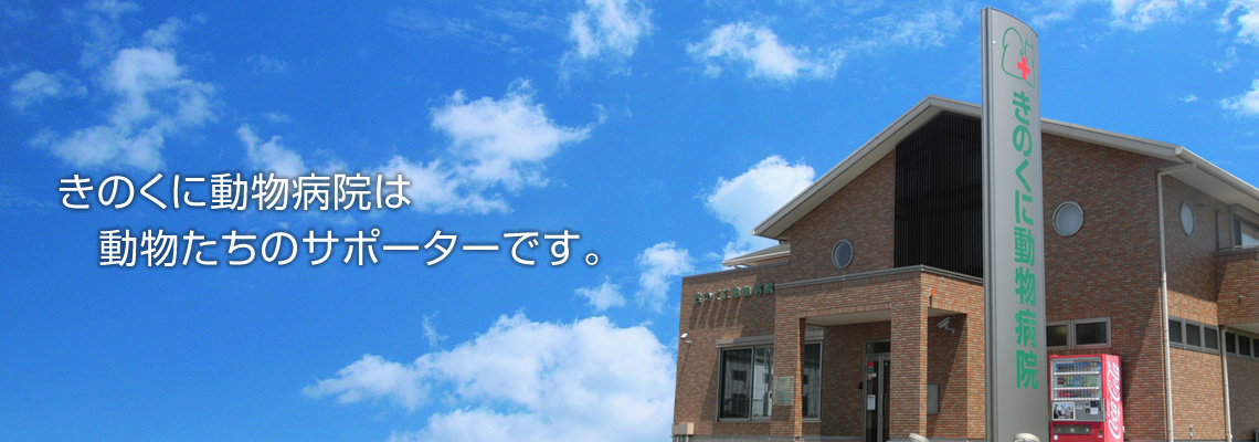 きのくに動物病院