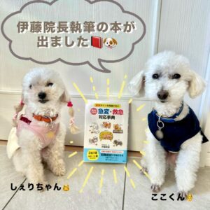 野田動物病院 小机本院