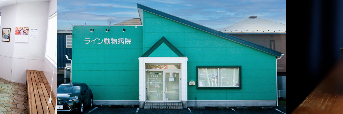 ライン動物病院