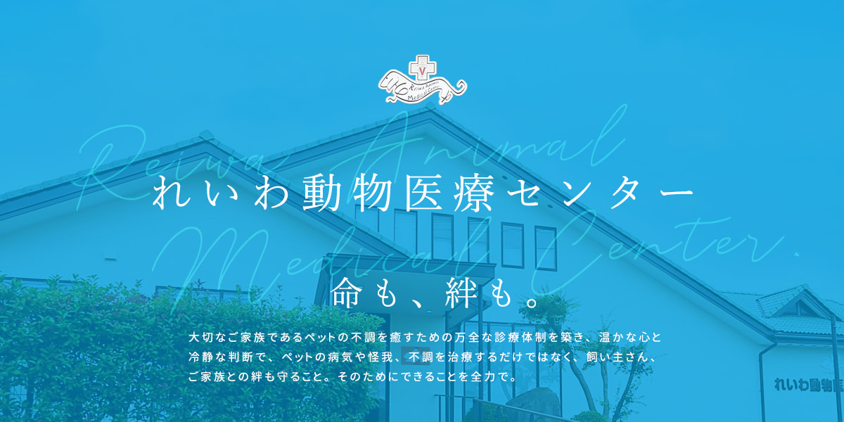 れいわ動物医療センター