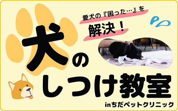 ちだペットクリニック